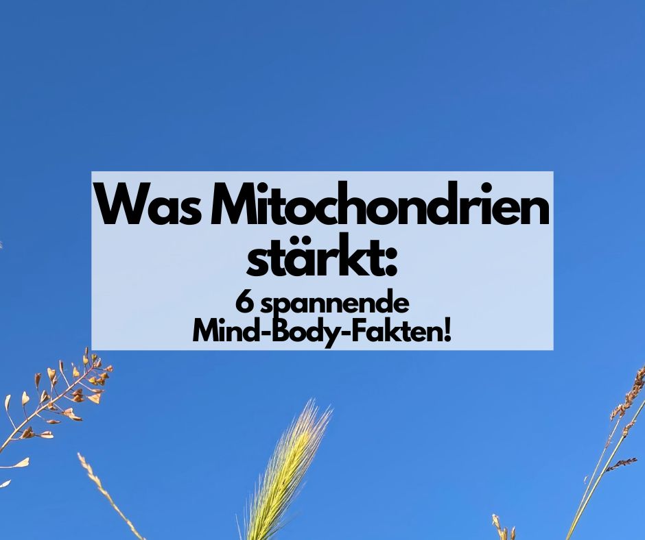 Mehr über den Artikel erfahren Was Mitochondrien stärkt: 6 spannende Mind-Body-Fakten!